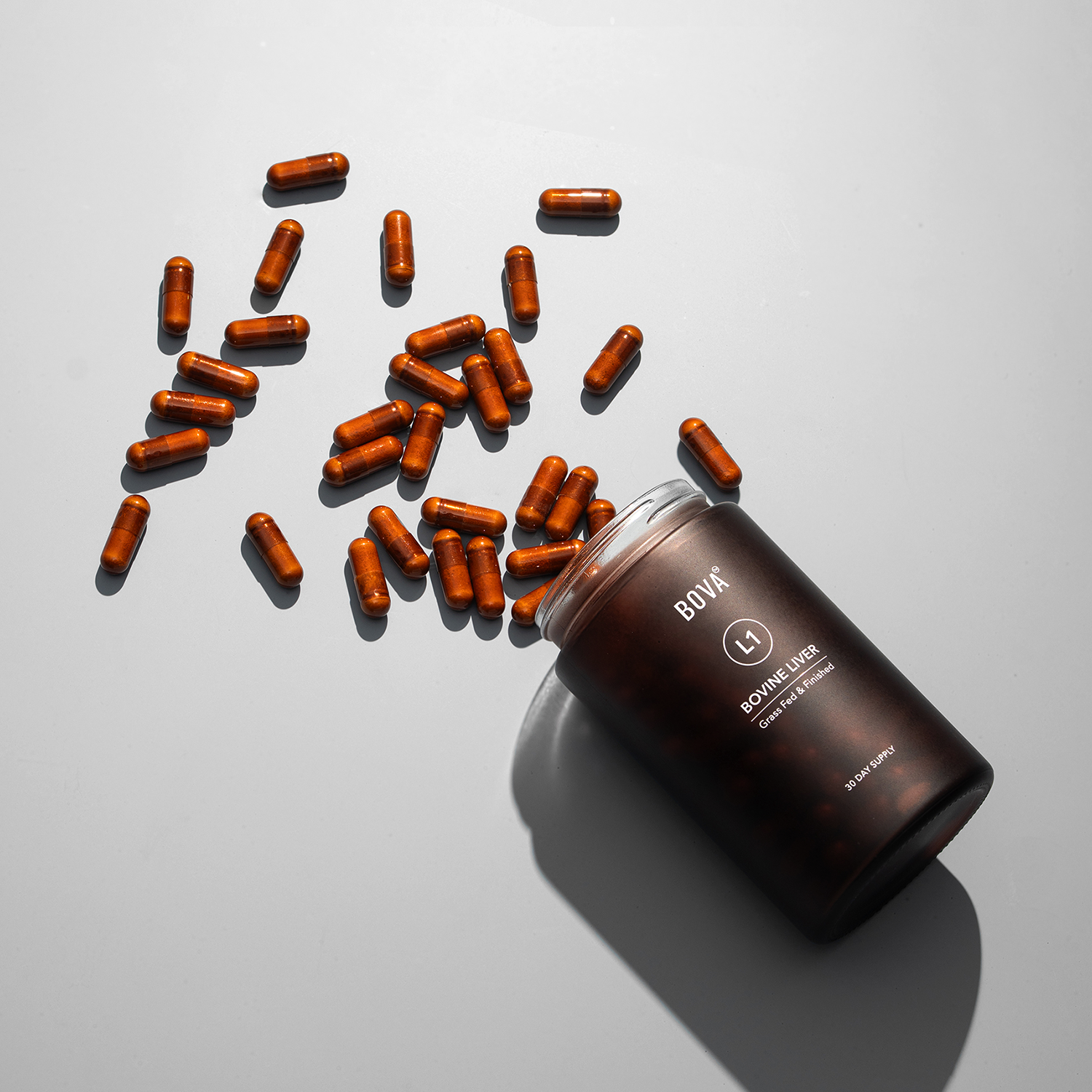 L-01 Liver – Mega Vitamin + Iron Support